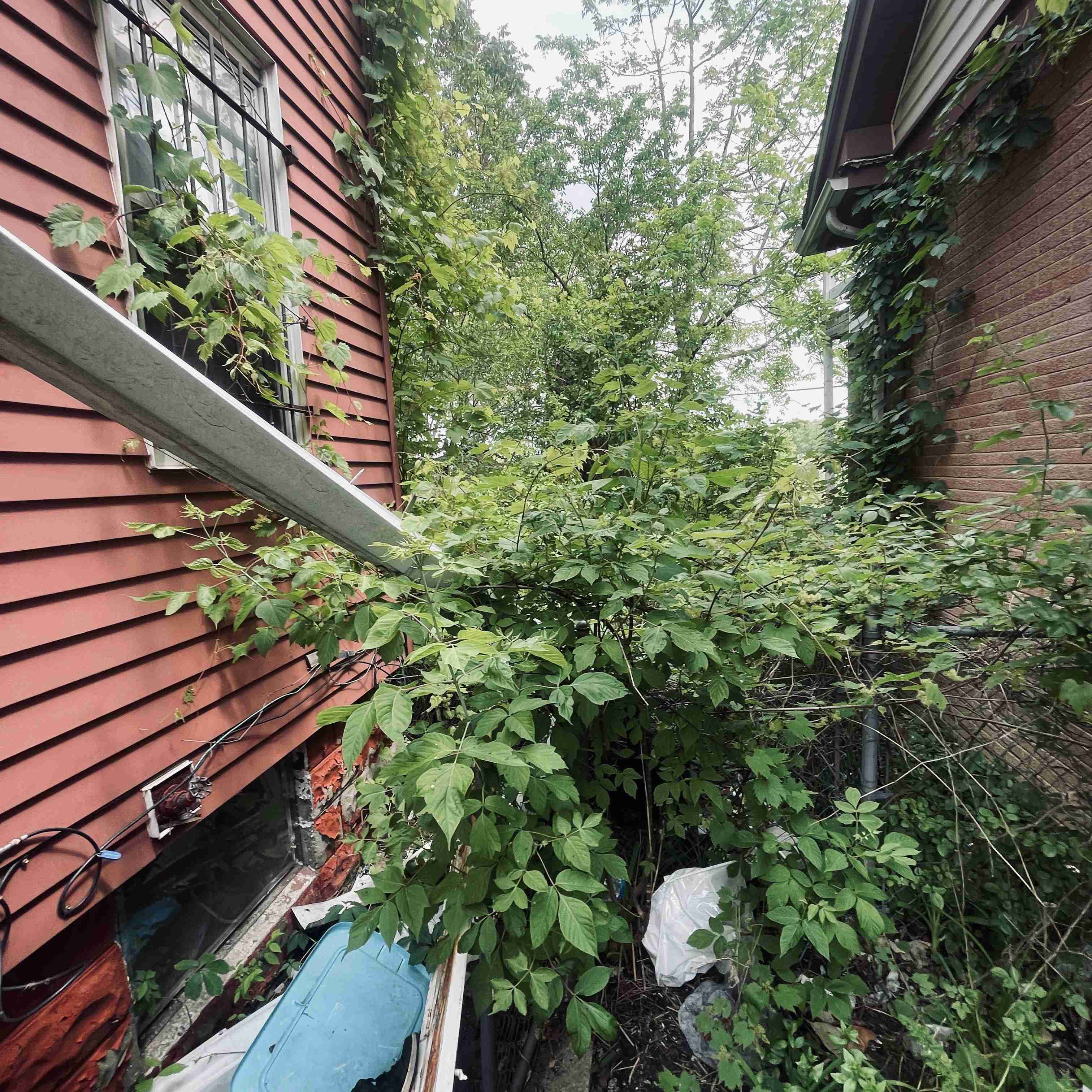 14044 Roselawn (15).jpg